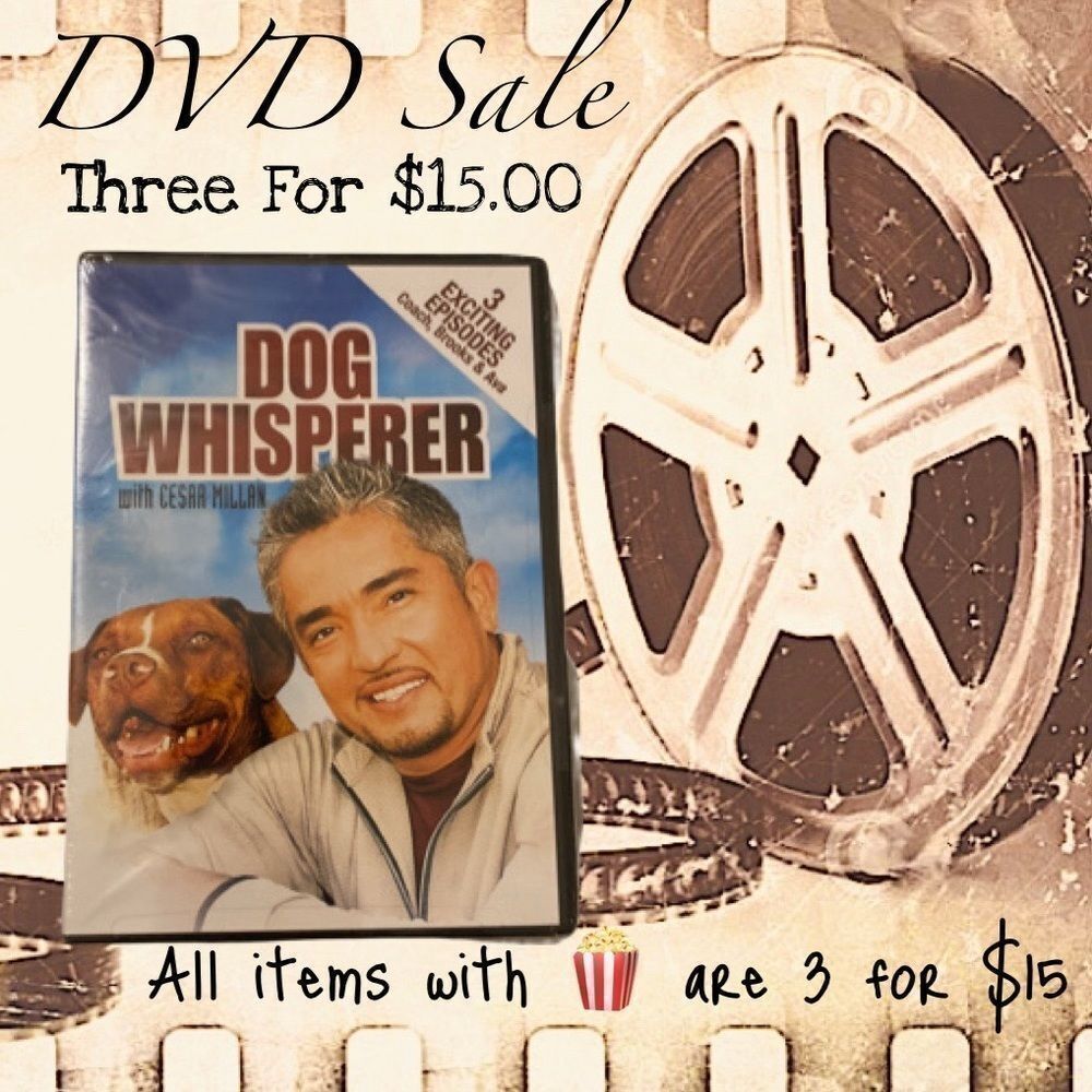 🍿3/$15 DVD Dog Whisper With Cesar Milan 3 Episodes Coach, Brooks, Ava Video